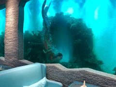 -瑞德姆美人鱼海底演艺主题餐厅(亚龙湾店)