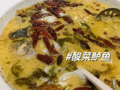 -有腥气私房菜·寻味顺德