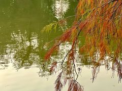 -人民公园(罗湖区)