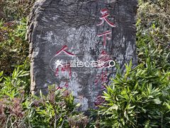 -洛阳市牡丹公园