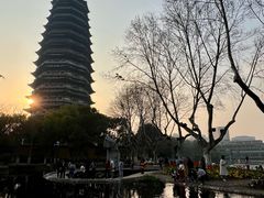 -红梅公园
