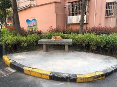 -老盛兴汤包馆(临汾店)