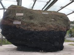 -抚顺煤矿博物馆