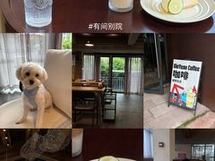 -山王坪喀斯特国家生态公园