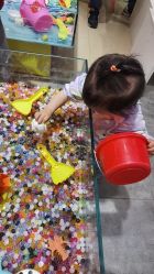 -卡通尼·Safari非洲探索乐园·生日会(金桥国际商业广场店)