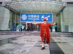 -中国移动(高升桥营业厅)