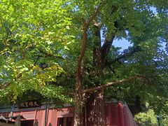 -红螺寺