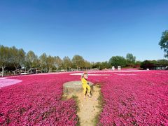-石家庄市植物园
