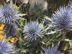 -谷莠子花艺气球派对·绿植造景·花艺沙龙(东海缤纷天地店)