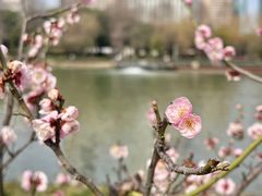-新虹桥中心花园