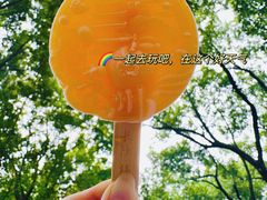 -橘子洲景区