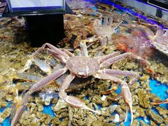 -盒马鲜生(岭南新世界店)