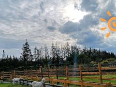 -前小桔亲子创意农场·草莓采摘·露营烧烤