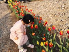 -南通洲际绿博园