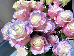 -ROSEONLY诺誓(广州K11店)