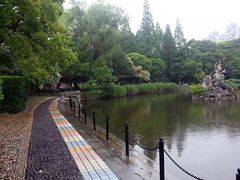 -江湾体育中心游泳馆