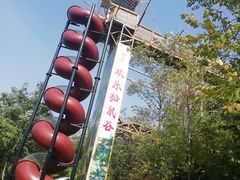 -欢乐松鼠谷