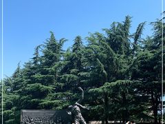 -上海市龙华烈士陵园