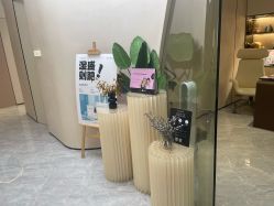 -Fundi张玉珊修身堂·indiba·BTL科技瘦身