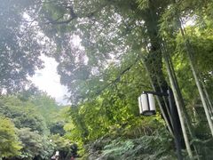 -岳麓山风景名胜区