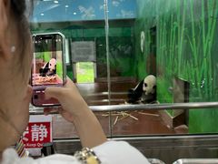 -食盈碗仔翅(星玺广场店)