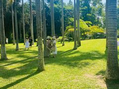-中国科学院西双版纳热带植物园