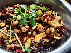 -食神又名厕所兔