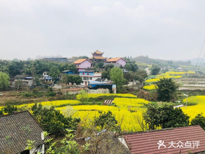 自贡恐龙博物馆图片