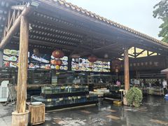 -大门水乡·顺德菜