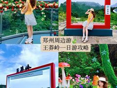 -王莽岭风景区