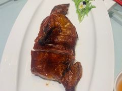 -沪碟·精菜坊(闵行店)