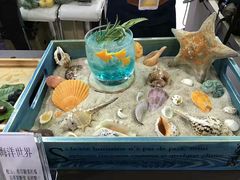 -洛阳周王城天子驾六博物馆