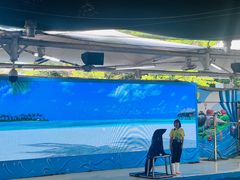 -厦门海底世界