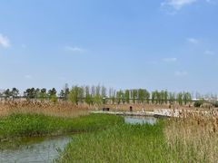 -鹦鹉洲湿地公园
