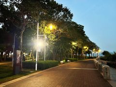 -深圳湾公园(南山区)