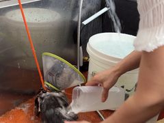 -利又安动物医院··老年病·猫科犬科·中兽医