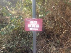 -黄埔油麻山森林公园