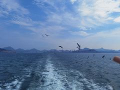 -海驴岛(荣成市)