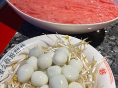 -蜀辣居鲜货老火锅(双流万达店)