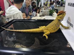-重庆国际会议展览中心