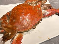 -奔海甄选·活鲜刺身铁板烧自助(太原里店)