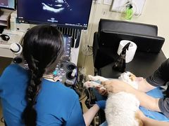 -芭比堂动物医院·CT·微创中心(新顺分院)