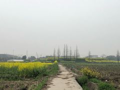 -小鱼草莓采摘园农家乐·小鱼餐厅