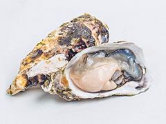 -盒马鲜生(顺义店)