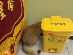 -悦宠动物医院(京丰分院)