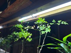 -望京一号·重庆江湖菜(工体店)