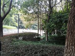 -赭山公园