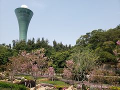 -狐尾山公园