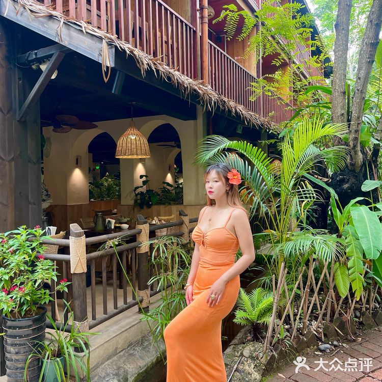 🌴l西双版纳🍃一秒穿越热带雨林
