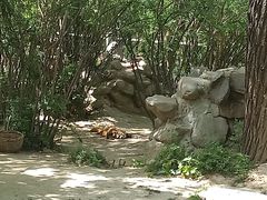 -西安秦岭野生动物园